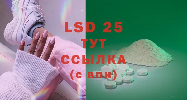 прущие грибы Гвардейск