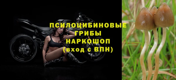 гидропоника Верхний Тагил
