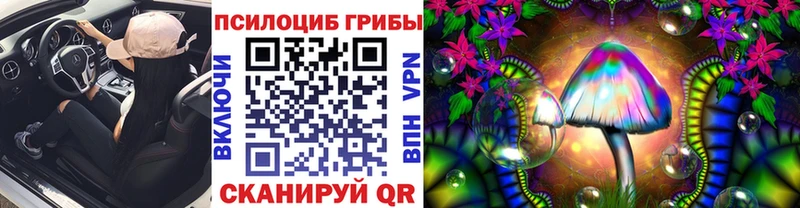 Псилоцибиновые грибы прущие грибы  Купить где  Бугуруслан 