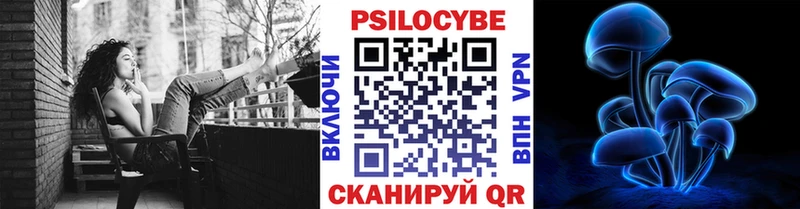 Галлюциногенные грибы Psilocybine cubensis Бугуруслан